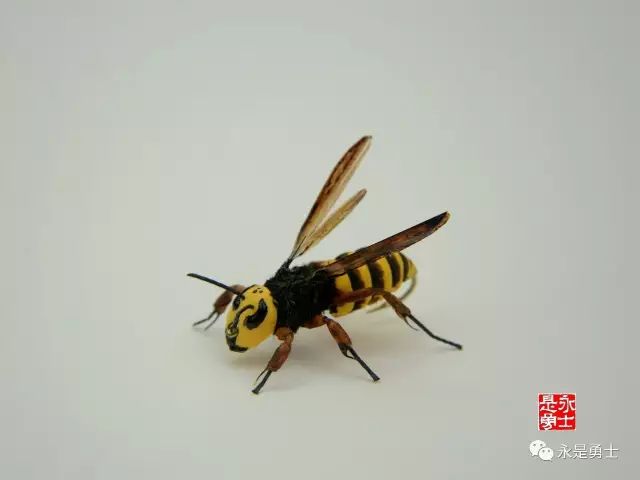 微信图片_20221221120051.jpg